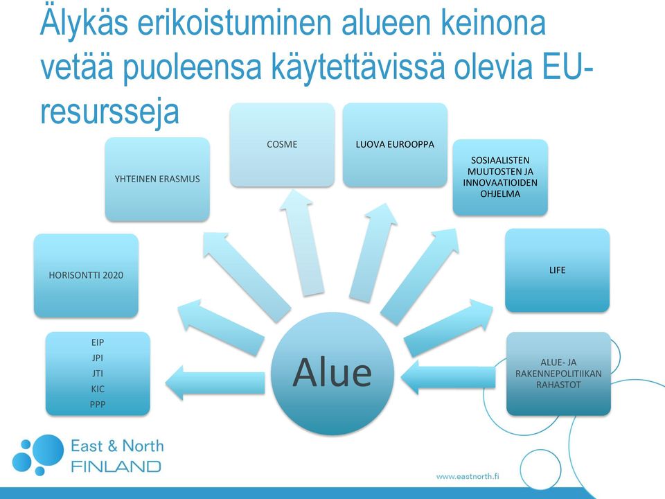 EUROOPPA SOSIAALISTEN MUUTOSTEN JA INNOVAATIOIDEN OHJELMA