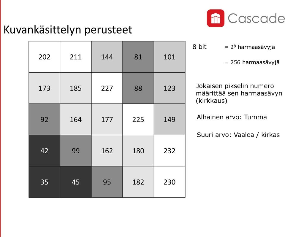 pikselin numero määrittää sen harmaasävyn (kirkkaus) 92 164 177 225