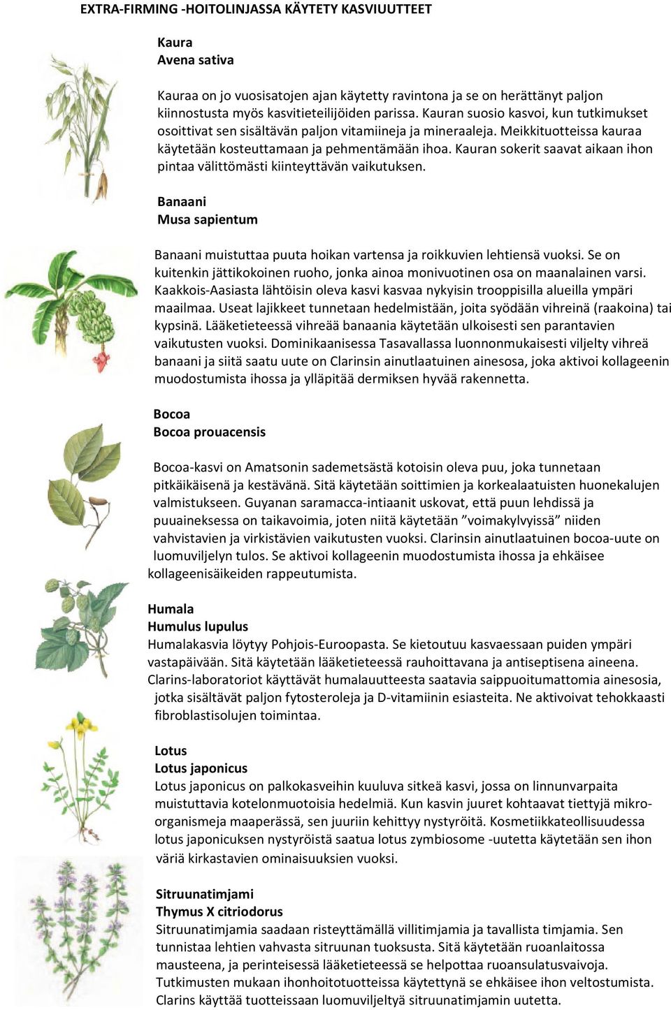 Kauran sokerit saavat aikaan ihon pintaa välittömästi kiinteyttävän vaikutuksen. Banaani Musa sapientum Banaani muistuttaa puuta hoikan vartensa ja roikkuvien lehtiensä vuoksi.