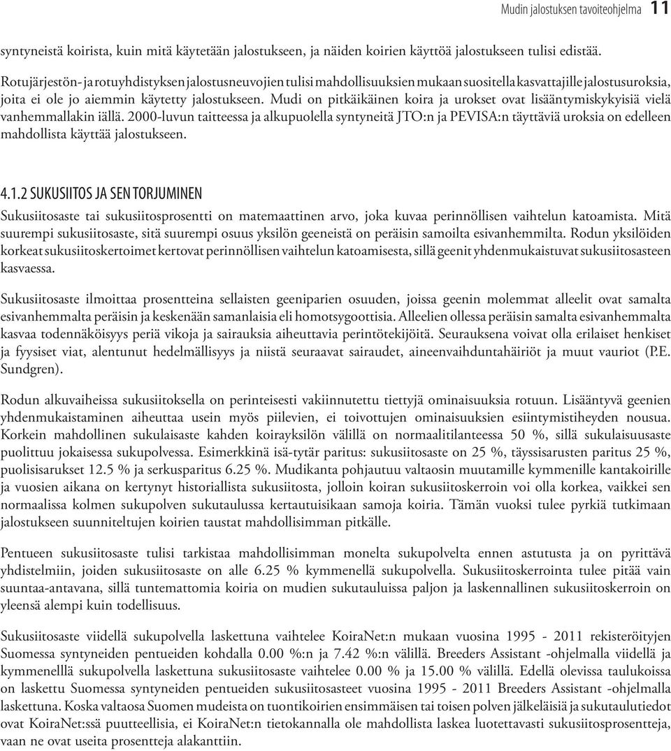 Mudi on pitkäikäinen koira ja urokset ovat lisääntymiskykyisiä vielä vanhemmallakin iällä.