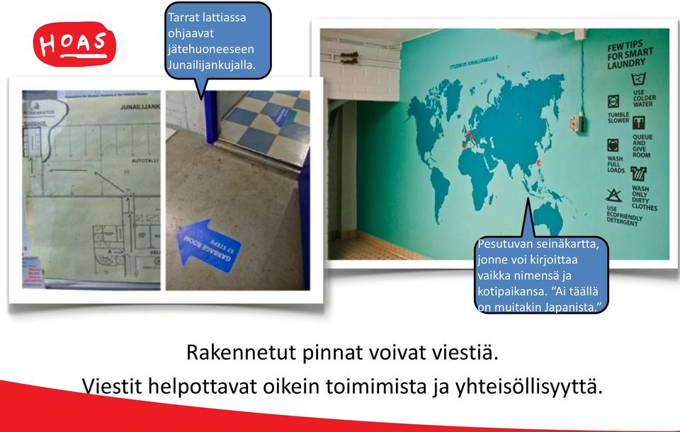 kotipaikansa. Ai täällä on muitakin Japanista.