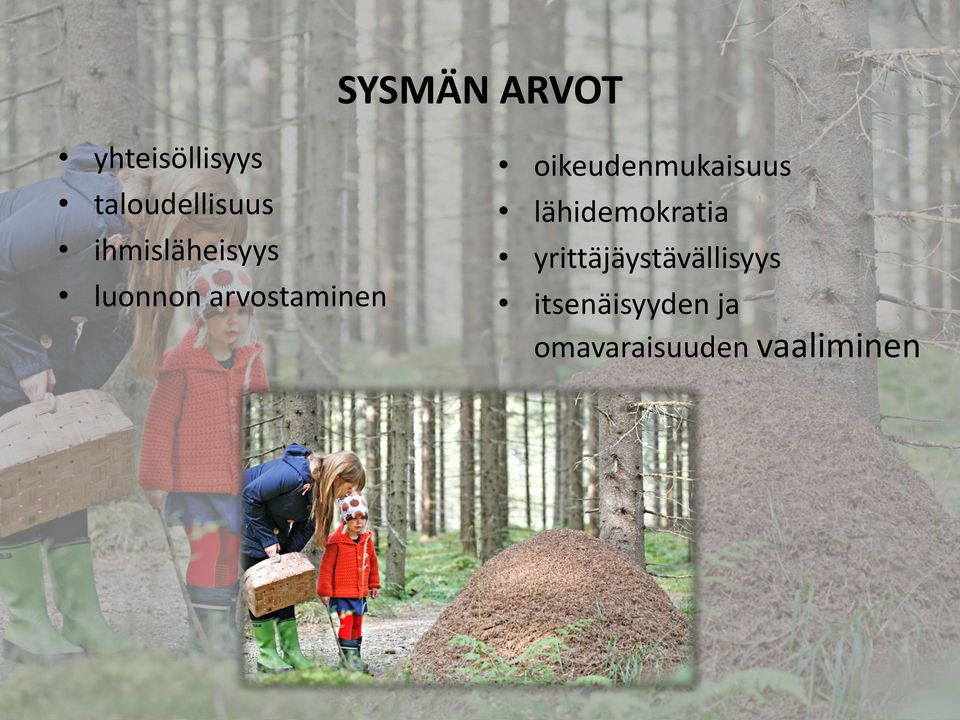 oikeudenmukaisuus lähidemokratia