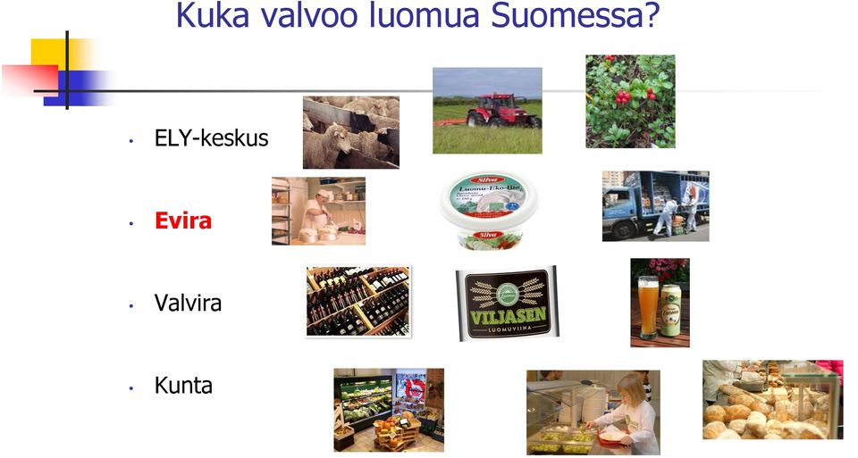 Suomessa?