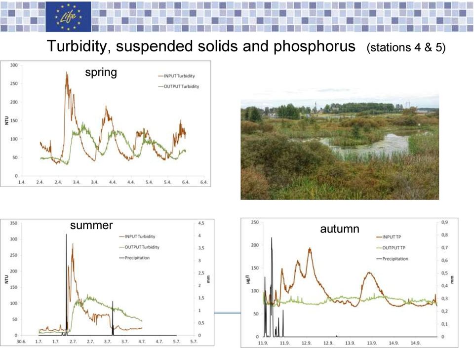 and phosphorus