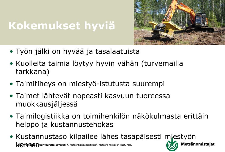 nopeasti kasvuun tuoreessa muokkausjäljessä Taimilogistiikka on toimihenkilön