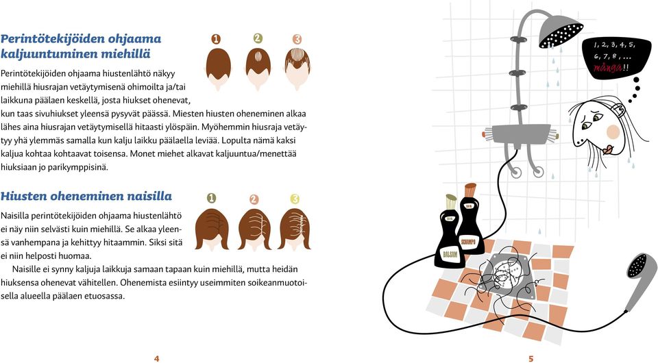 Myöhemmin hiusraja vetäytyy yhä ylemmäs samalla kun kalju laikku päälaella leviää. Lopulta nämä kaksi kaljua kohtaa kohtaavat toisensa.