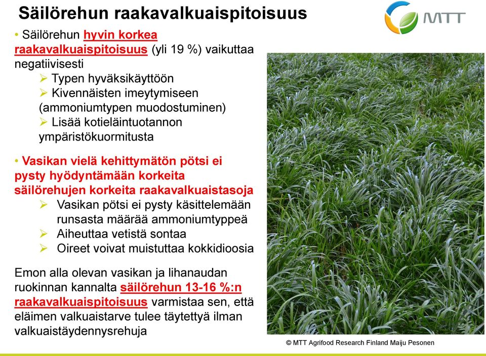 raakavalkuaistasoja Vasikan pötsi ei pysty käsittelemään runsasta määrää ammoniumtyppeä Aiheuttaa vetistä sontaa Oireet voivat muistuttaa kokkidioosia Emon alla