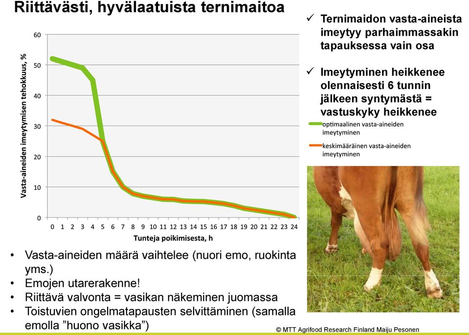 heikkenee Vasta-aineiden määrä vaihtelee (nuori emo, ruokinta yms.) Emojen utarerakenne!