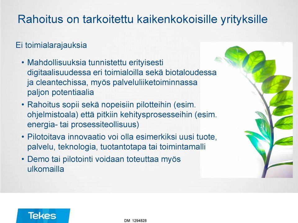 sekä nopeisiin pilotteihin (esim. ohjelmistoala) että pitkiin kehitysprosesseihin (esim.