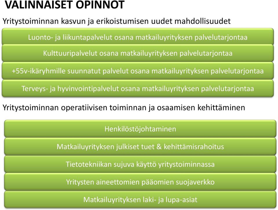 hyvinvointipalvelut osana matkailuyrityksen palvelutarjontaa Yritystoiminnan operatiivisen toiminnan ja osaamisen kehittäminen Henkilöstöjohtaminen