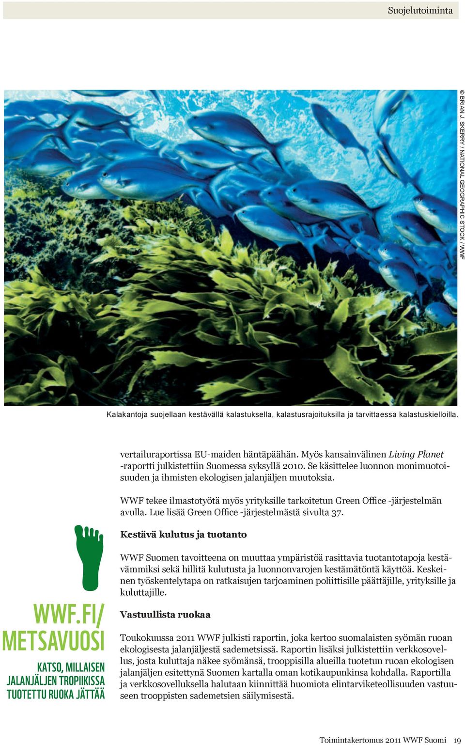 Se käsittelee luonnon monimuotoisuuden ja ihmisten ekologisen jalanjäljen muutoksia. WWF tekee ilmastotyötä myös yrityksille tarkoitetun Green Office -järjestelmän avulla.