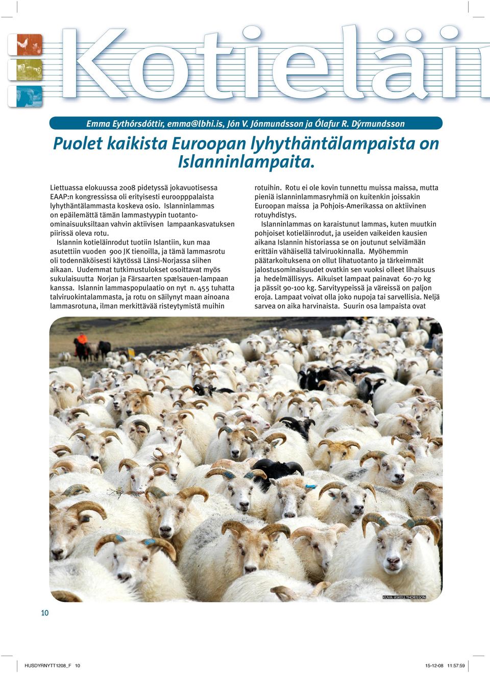 Islanninlammas on epäilemättä tämän lammastyypin tuotantoominaisuuksiltaan vahvin aktiivisen lampaankasvatuksen piirissä oleva rotu.