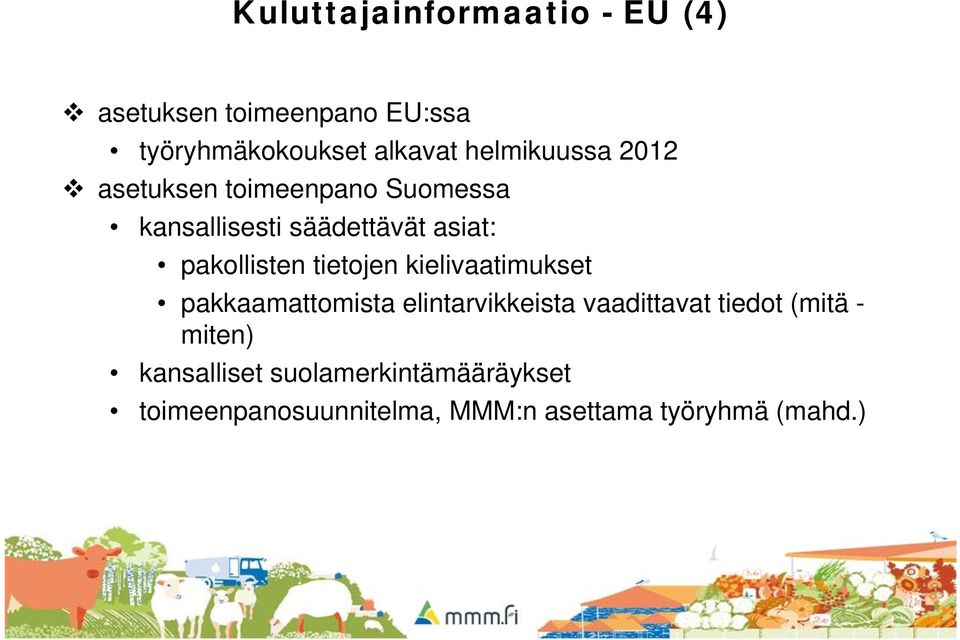 pakollisten tietojen kielivaatimukset pakkaamattomista elintarvikkeista vaadittavat tiedot