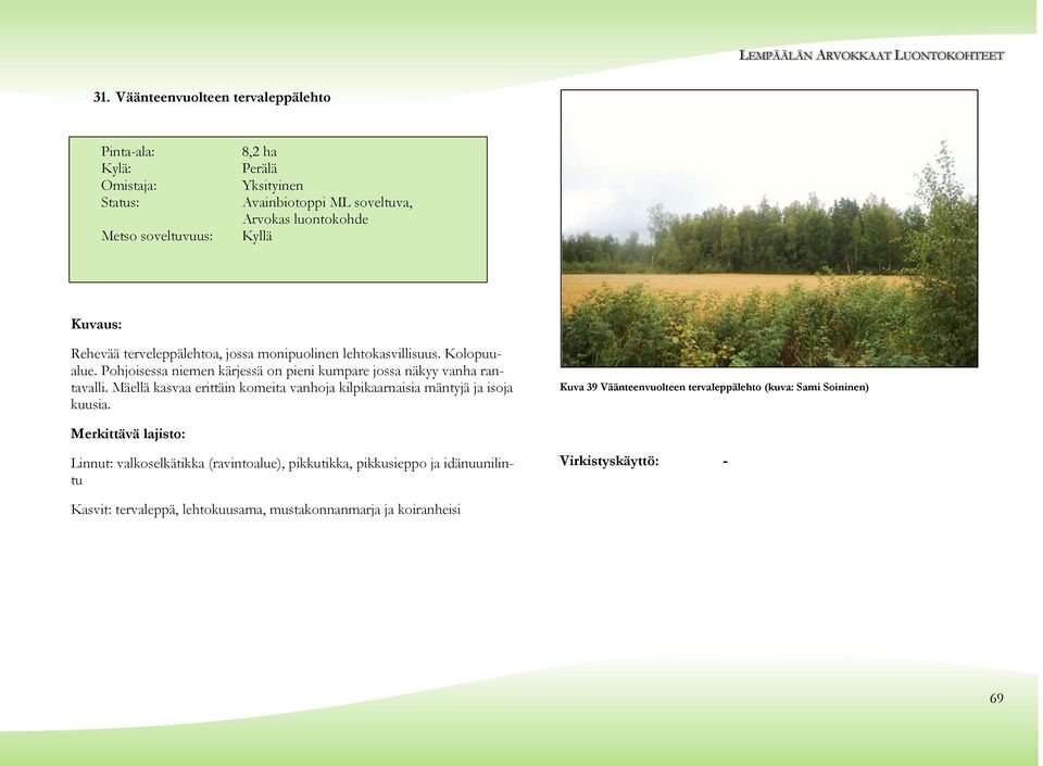 Pohjoisessa niemen kärjessä on pieni kumpare jossa näkyy vanha rantavalli. Mäellä kasvaa erittäin komeita vanhoja kilpikaarnaisia mäntyjä ja isoja kuusia.