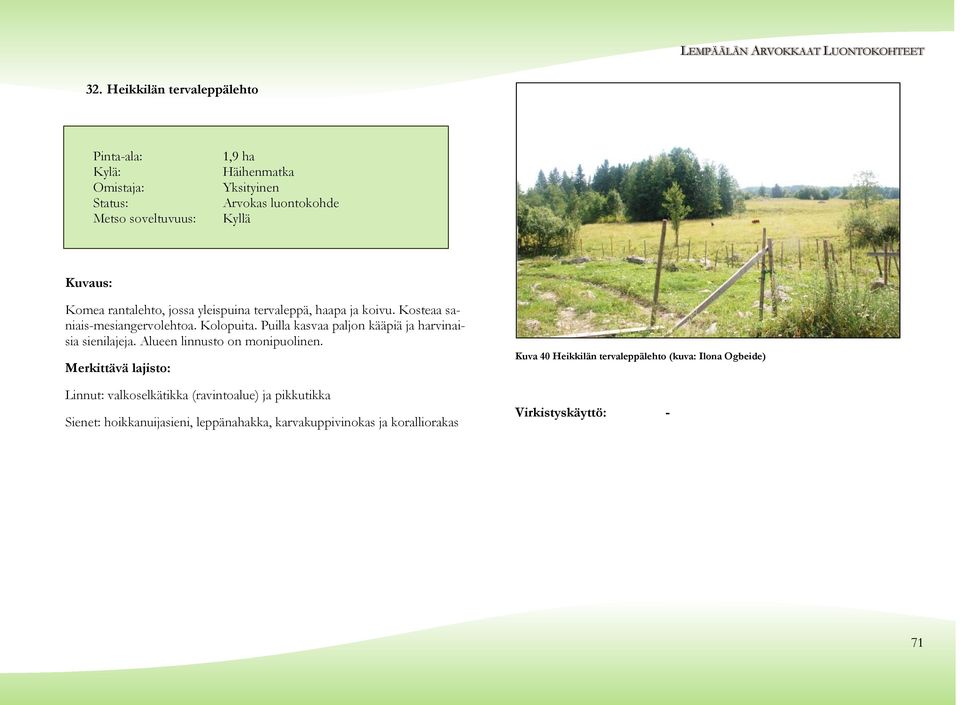 Puilla kasvaa paljon kääpiä ja harvinaisia sienilajeja. Alueen linnusto on monipuolinen.
