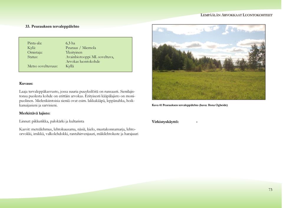 Mielenkiintoisia sieniä ovat esim. lakkakääpä, leppänahka, hoikkanuijasieni ja sarvisieni.
