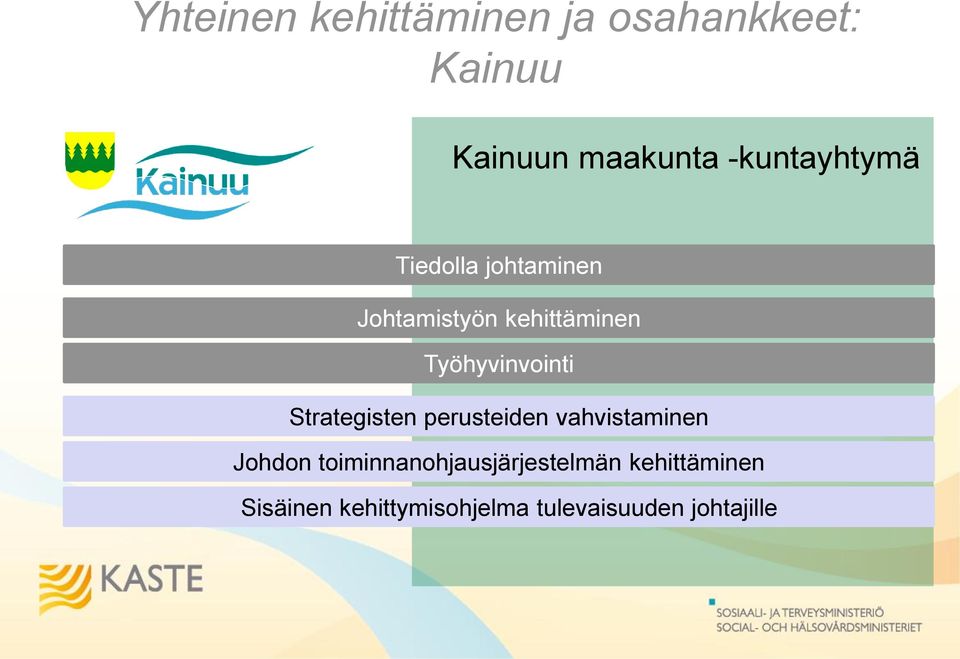 Työhyvinvointi Strategisten perusteiden vahvistaminen Johdon