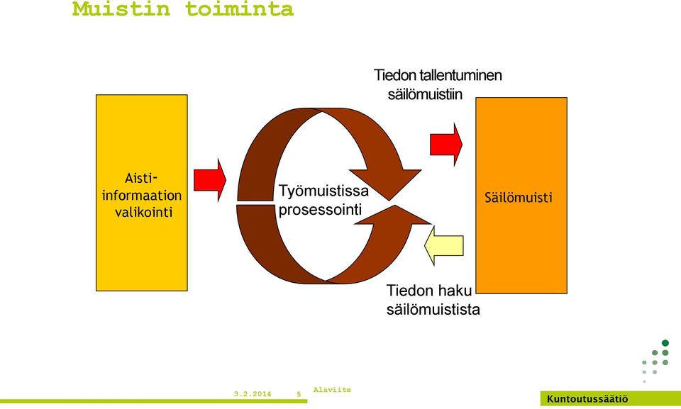 valikointi Työmuistissa prosessointi