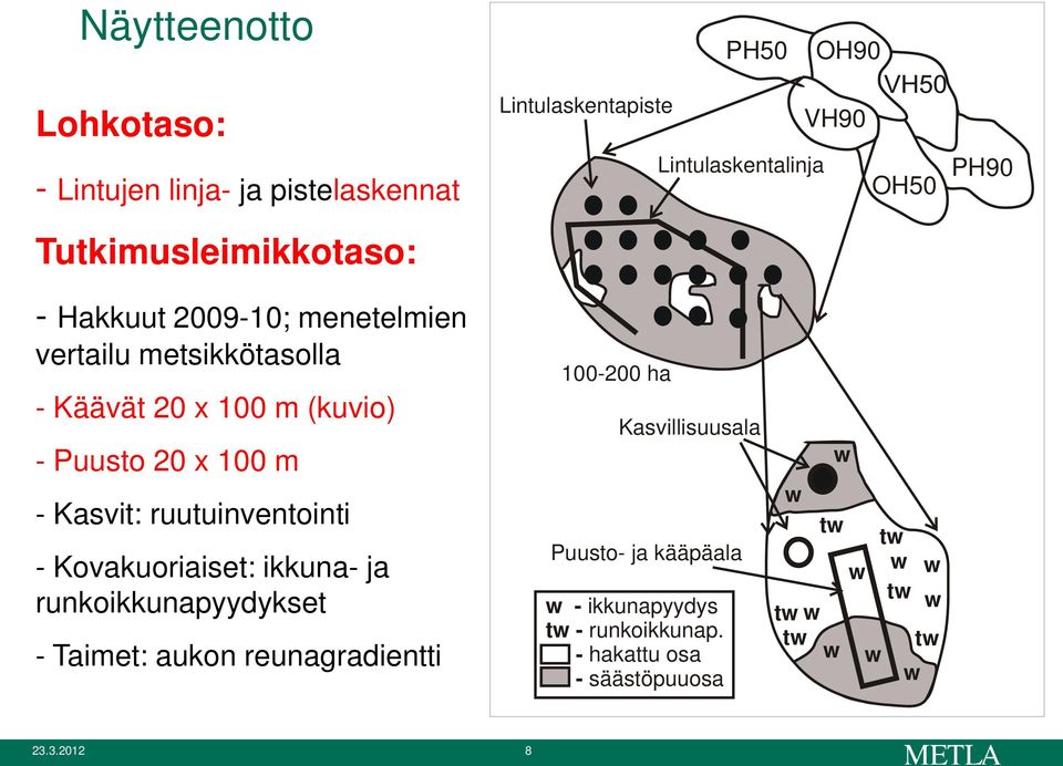 Kasvit: ruutuinventointi - Kovakuoriaiset: ikkuna- ja runkoikkunapyydykset - Taimet: aukon reunagradientti 1-2 ha