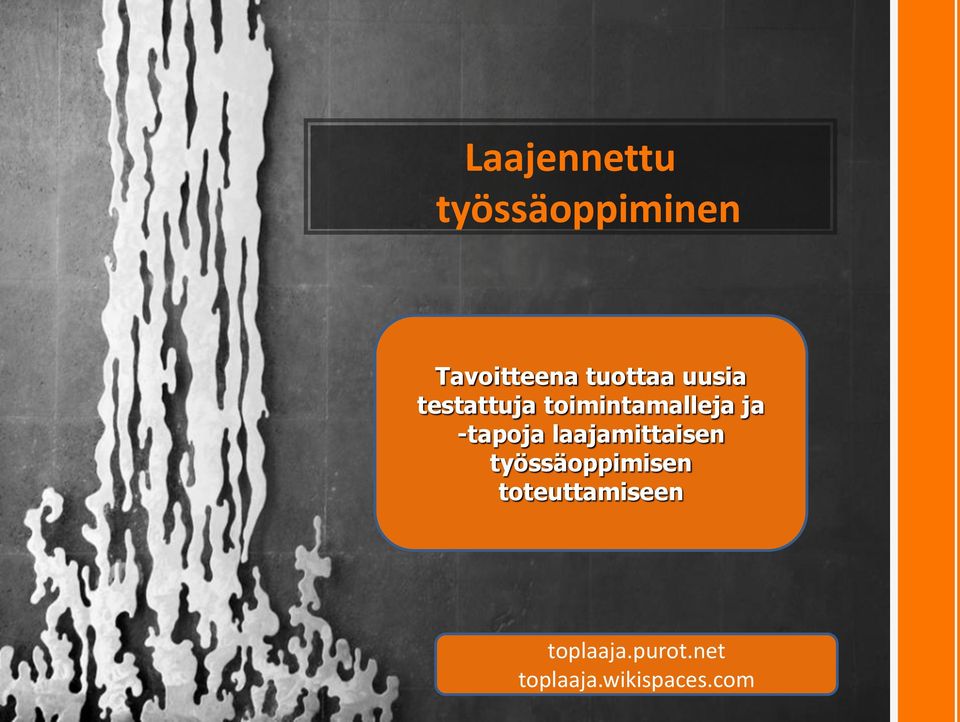 -tapoja laajamittaisen työssäoppimisen