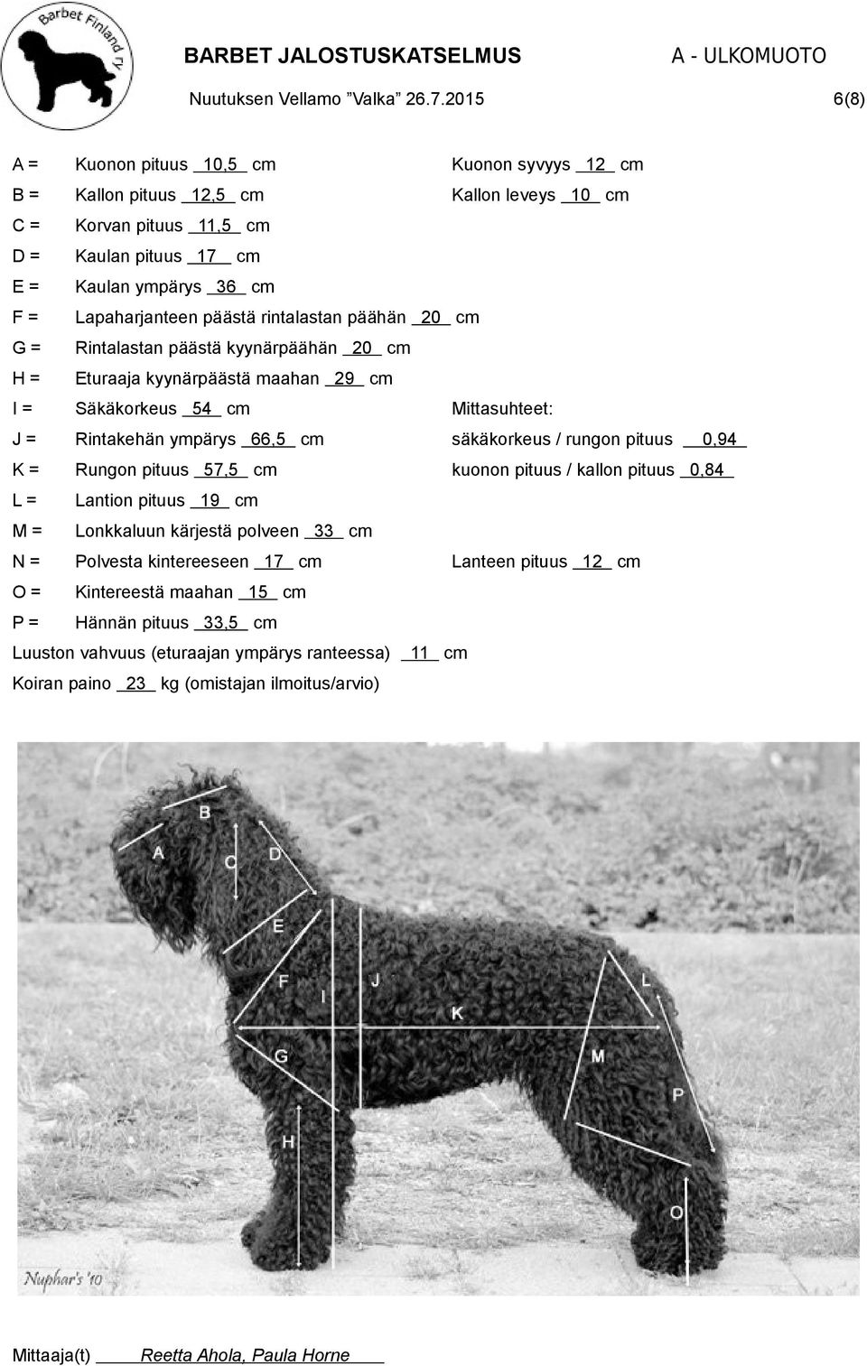 säkäkorkeus / rungon pituus K= Rungon pituus 57,5 cm kuonon pituus / kallon pituus 0,84 L= Lantion pituus 19 cm M= Lonkkaluun kärjestä polveen 33 cm N= Polvesta kintereeseen 17 cm O=