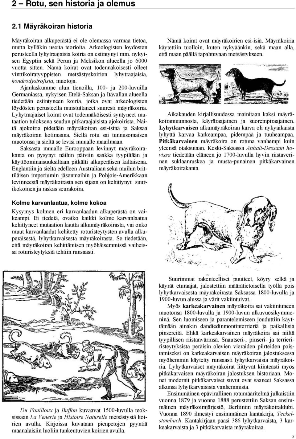 Nämä koirat ovat todennäköisesti olleet vinttikoiratyyppisten metsästyskoirien lyhytraajaisia, kondrodystrofisia, muotoja.