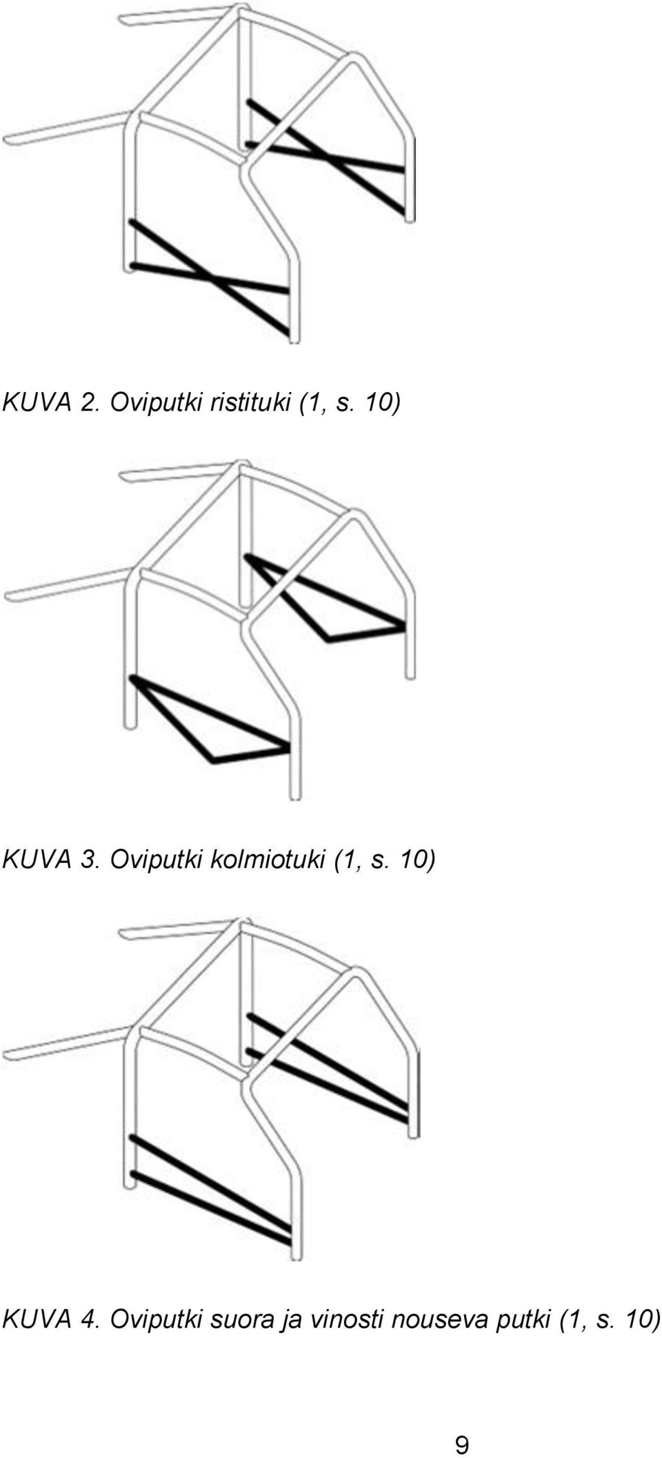 Oviputki kolmiotuki (1, s.