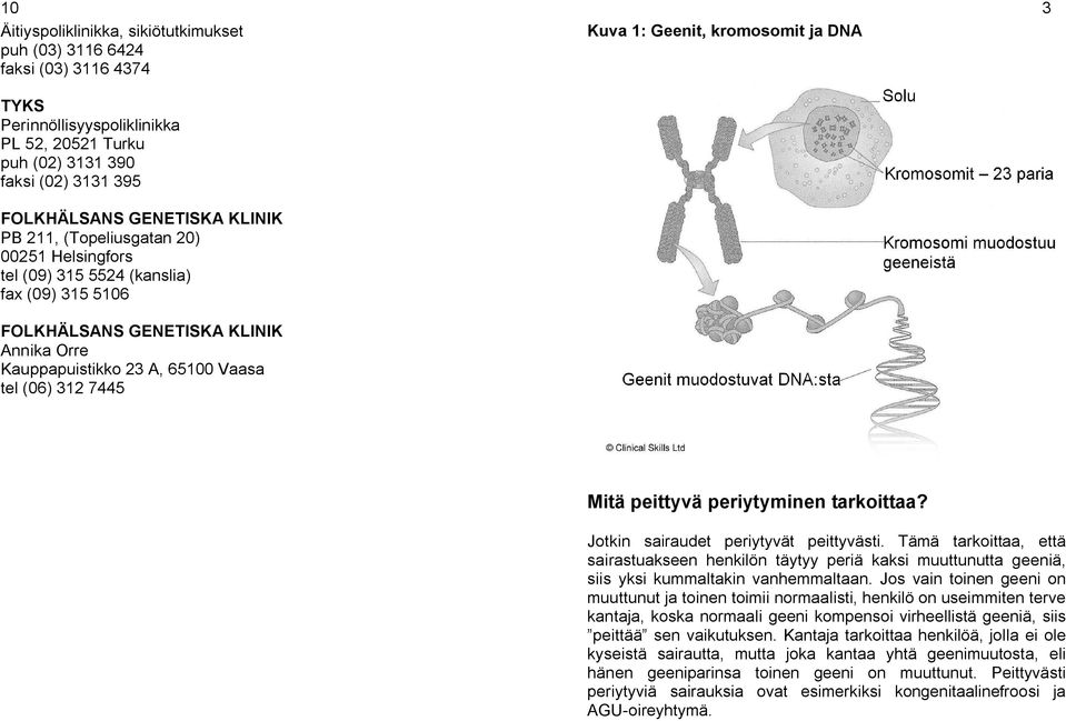 kromosomit ja DNA 3 Mitä peittyvä periytyminen tarkoittaa? Jotkin sairaudet periytyvät peittyvästi.