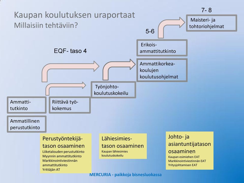 työkokemus Perustyöntekijätason osaaminen Liiketalouden perustutkinto Myynnin ammattitutkinto Markkinointiviestinnän ammattitutkinto Yrittäjän AT