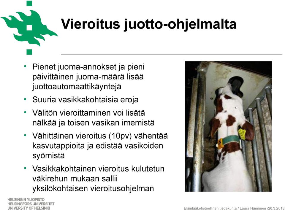 ja toisen vasikan imemistä Vähittäinen vieroitus (10pv) vähentää kasvutappioita ja edistää