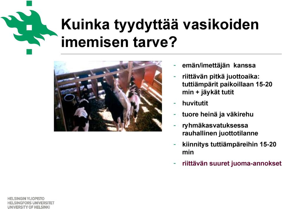 15-20 min + jäykät tutit - huvitutit - tuore heinä ja väkirehu -