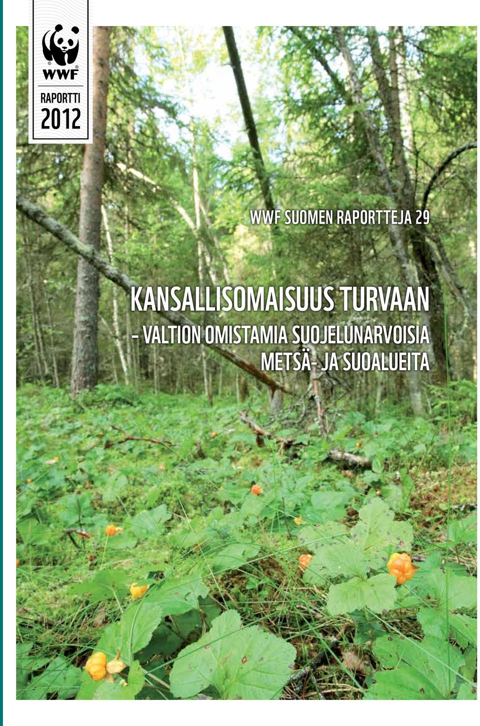 Kansallisomaisuus turvaan