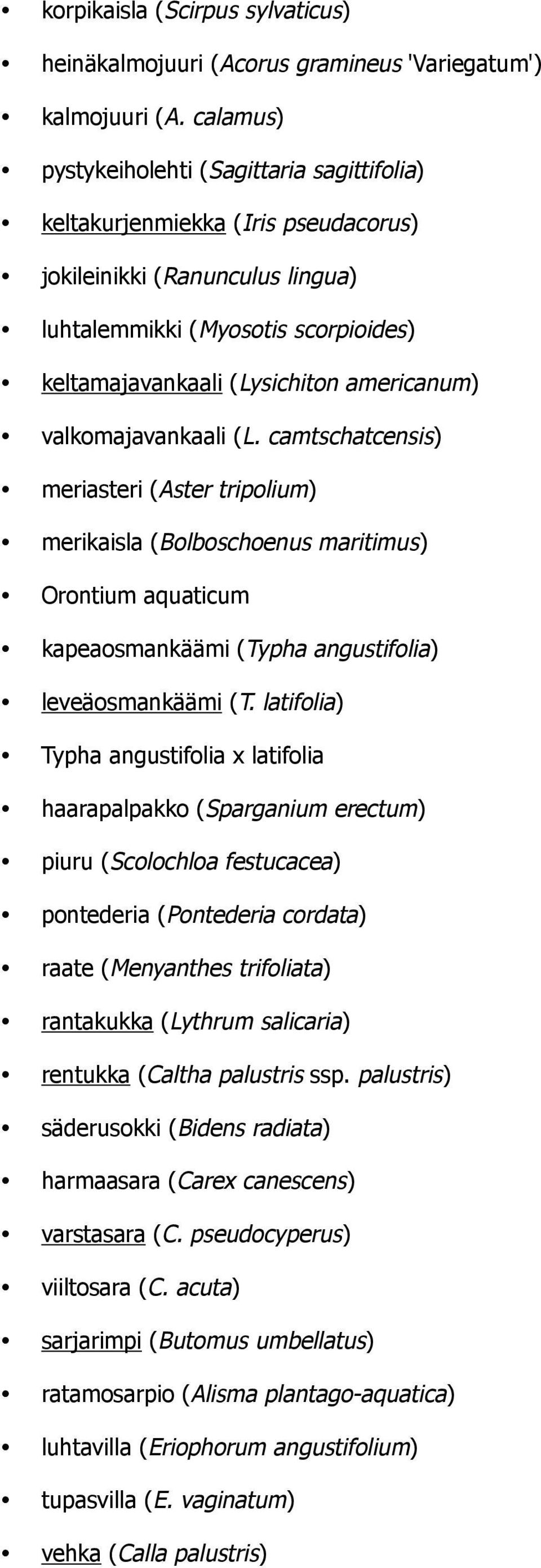 valkomajavankaali (L. camtschatcensis) meriasteri (Aster tripolium) merikaisla (Bolboschoenus maritimus) Orontium aquaticum kapeaosmankäämi (Typha angustifolia) leveäosmankäämi (T.