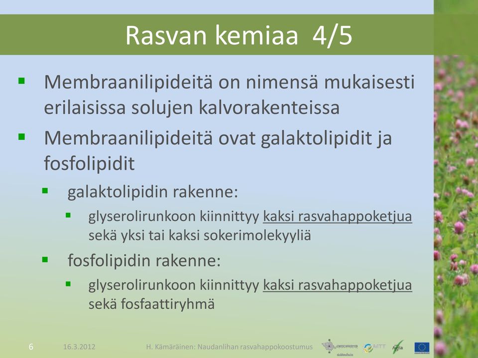 rakenne: glyserolirunkoon kiinnittyy kaksi rasvahappoketjua sekä yksi tai kaksi