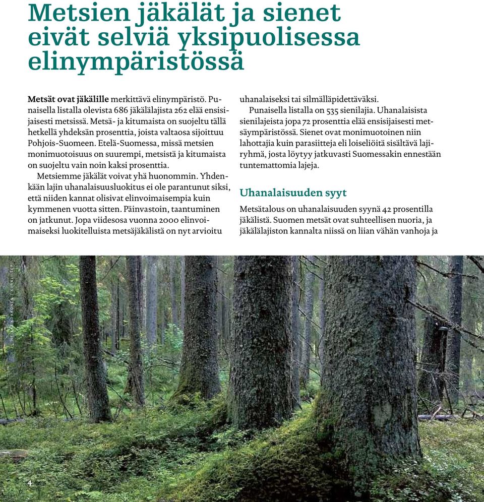 Etelä-Suomessa, missä metsien monimuotoisuus on suurempi, metsistä ja kitumaista on suojeltu vain noin kaksi prosenttia. Metsiemme jäkälät voivat yhä huonommin.