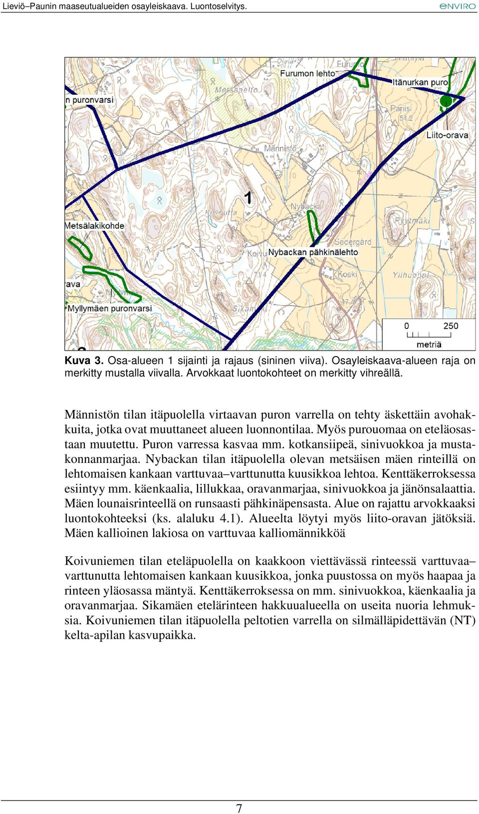 kotkansiipeä, sinivuokkoa ja mustakonnanmarjaa. Nybackan tilan itäpuolella olevan metsäisen mäen rinteillä on lehtomaisen kankaan varttuvaa varttunutta kuusikkoa lehtoa. Kenttäkerroksessa esiintyy mm.