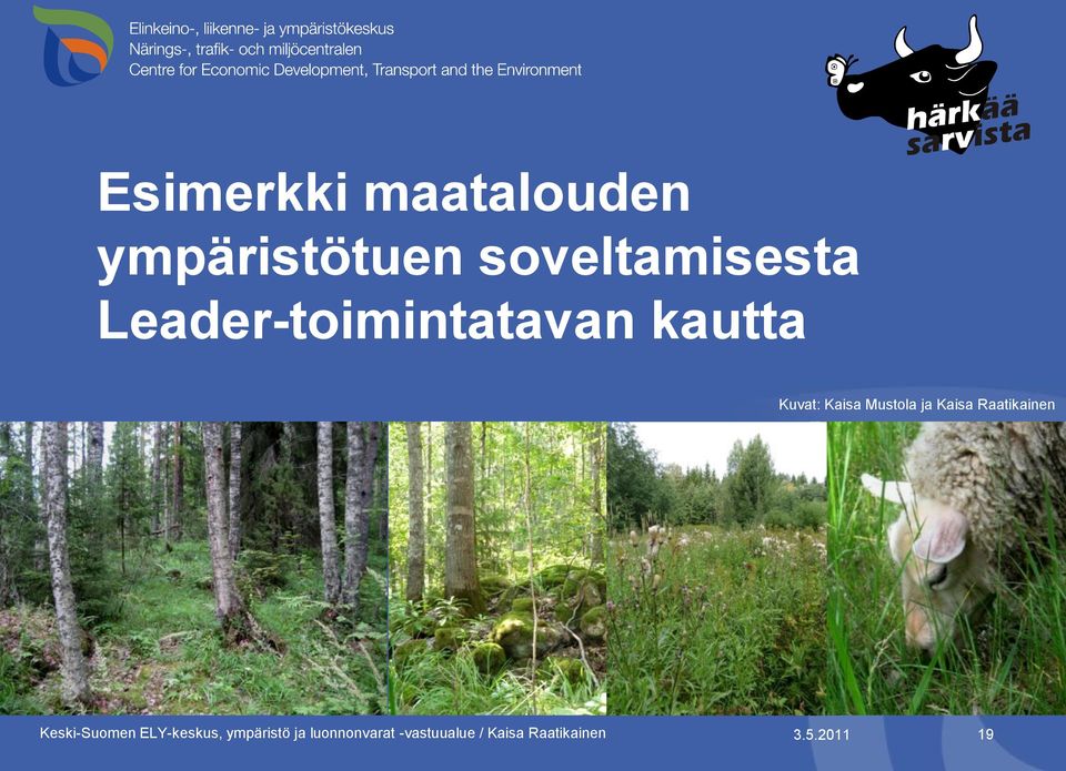 Kaisa Raatikainen Keski-Suomen ELY-keskus, ympäristö