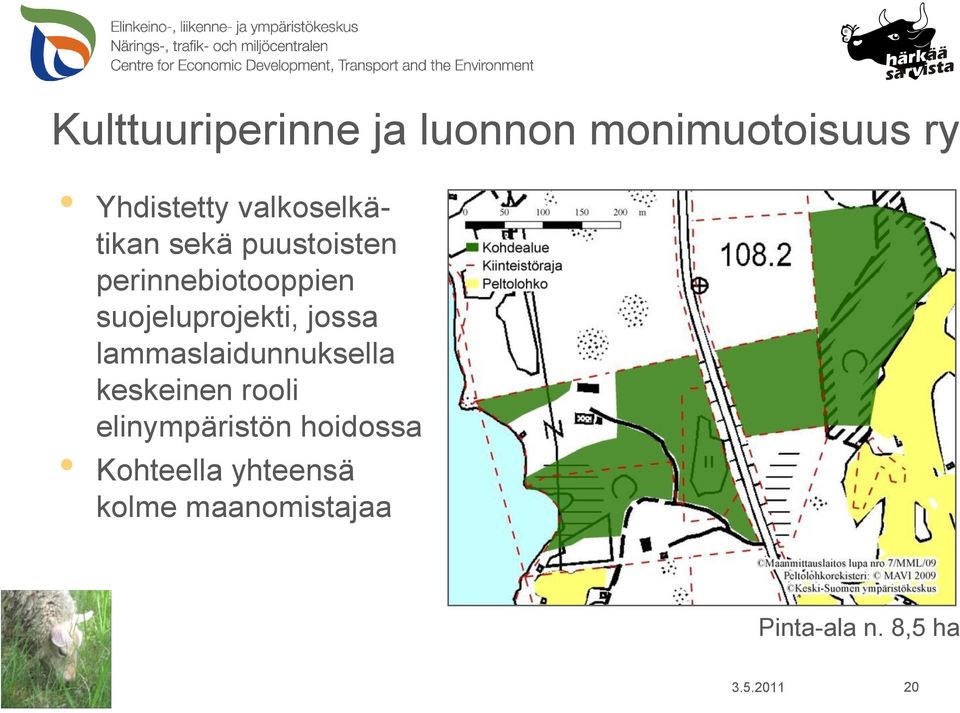 suojeluprojekti, jossa lammaslaidunnuksella keskeinen rooli