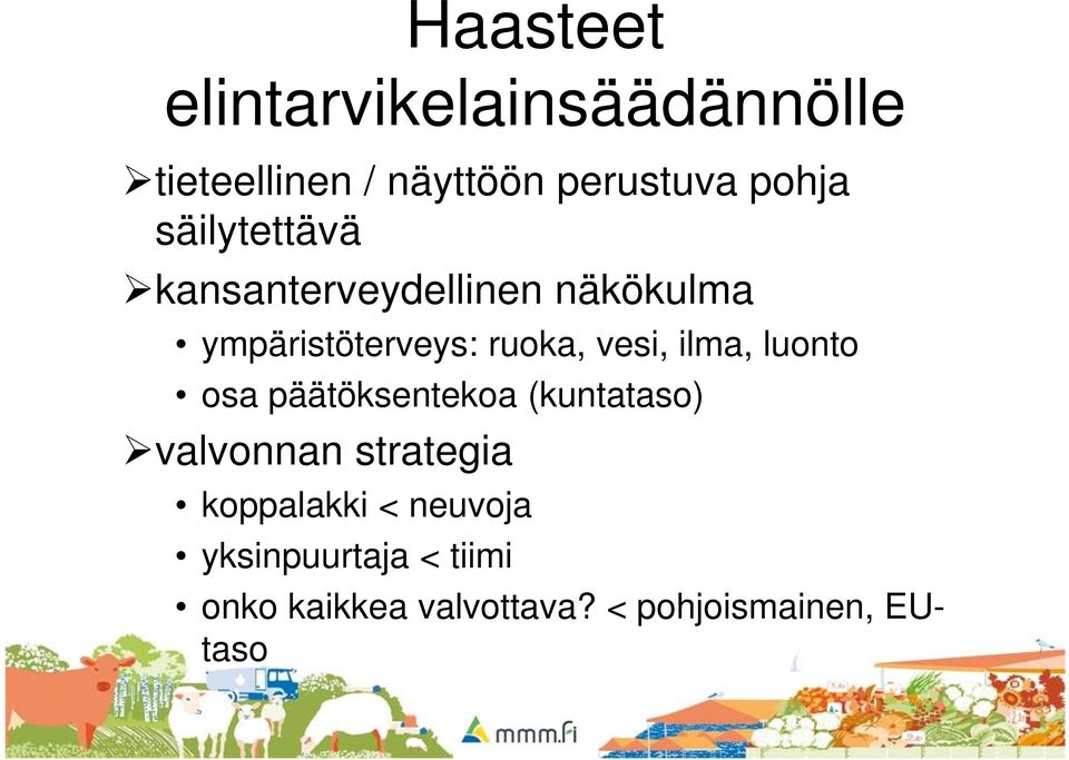 ilma, luonto osa päätöksentekoa (kuntataso) valvonnan strategia koppalakki <