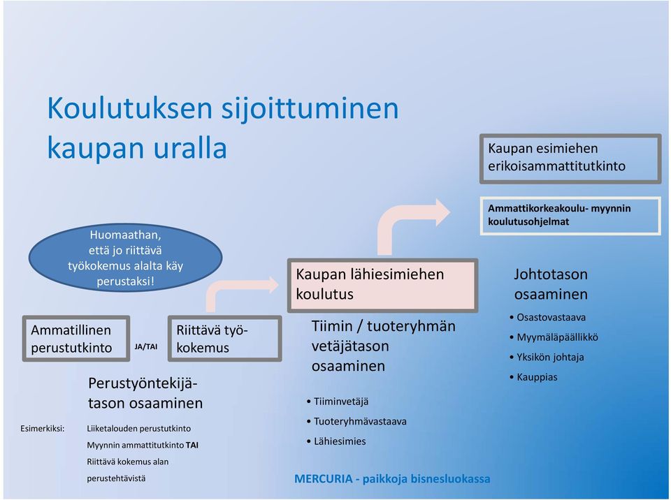 ammattitutkinto TAI Riittävä kokemus alan perustehtävistä Kaupan lähiesimiehen koulutus Tiimin / tuoteryhmän vetäjätason osaaminen