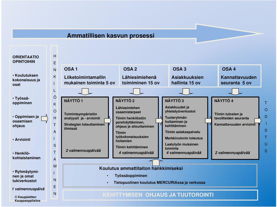 analyysit ja - arviointi Strategian toteuttaminen tiimissä 2 valmennuspäivää NÄYTTÖ 2 NÄYTTÖ 3 Lähiesimiehen osaamistarpeet Tiimin henkilöstön perehdyttäminen, ohjaus ja sitouttaminen Tiimin