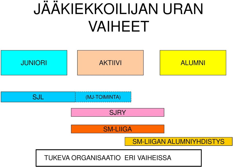 (MJ-TOIMINTA) SJRY SM-LIIGA