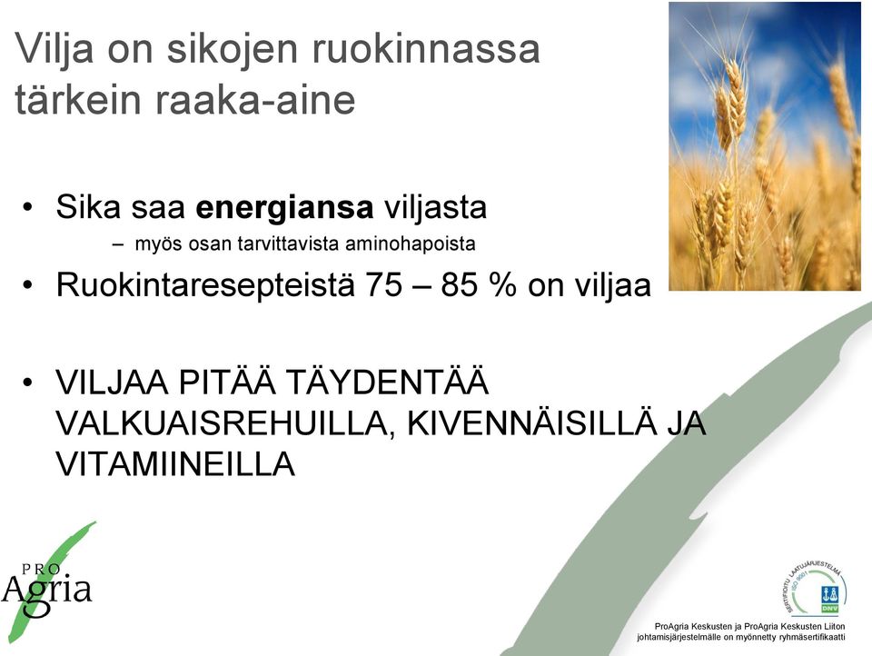 aminohapoista Ruokintaresepteistä 75 85 % on viljaa