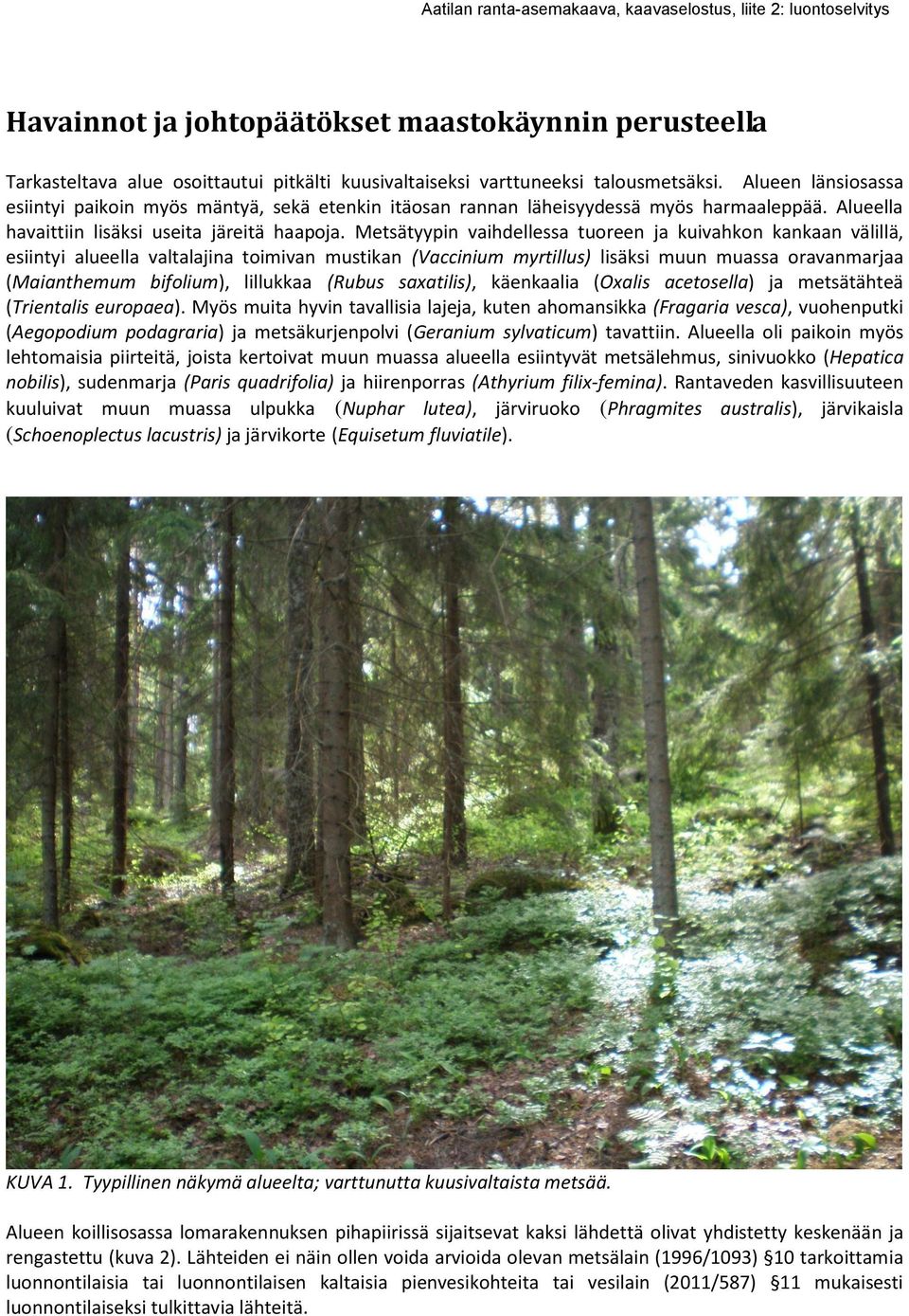 Metsätyypin vaihdellessa tuoreen ja kuivahkon kankaan välillä, esiintyi alueella valtalajina toimivan mustikan (Vaccinium myrtillus) lisäksi muun muassa oravanmarjaa (Maianthemum bifolium), lillukkaa