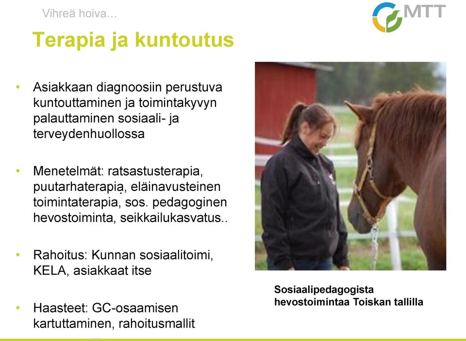 eläinavusteinen toimintaterapia, sos. pedagoginen hevostoiminta, seikkailukasvatus.