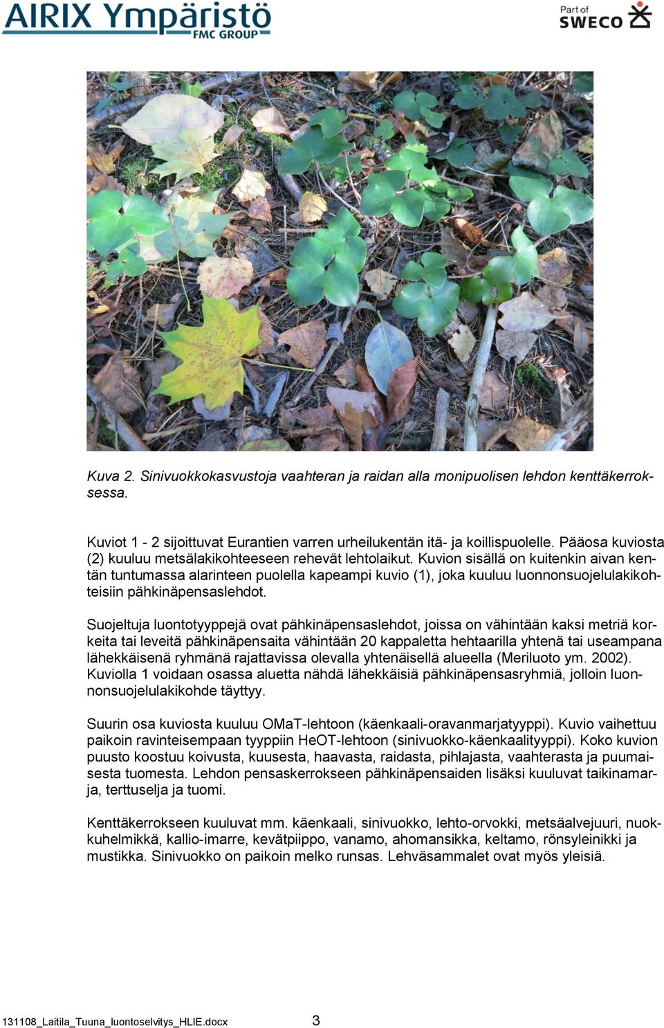 Kuvion sisällä on kuitenkin aivan kentän tuntumassa alarinteen puolella kapeampi kuvio (1), joka kuuluu luonnonsuojelulakikohteisiin pähkinäpensaslehdot.