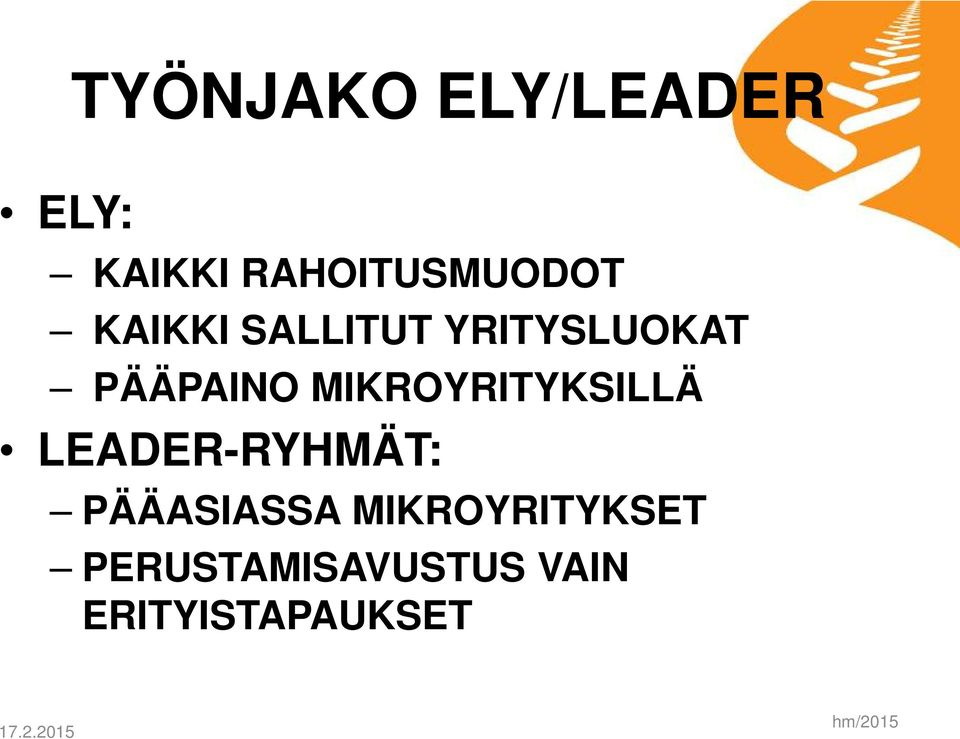 MIKROYRITYKSILLÄ LEADER-RYHMÄT: PÄÄASIASSA