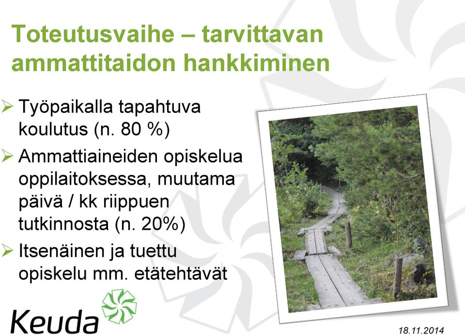 80 %) Ammattiaineiden opiskelua oppilaitoksessa, muutama