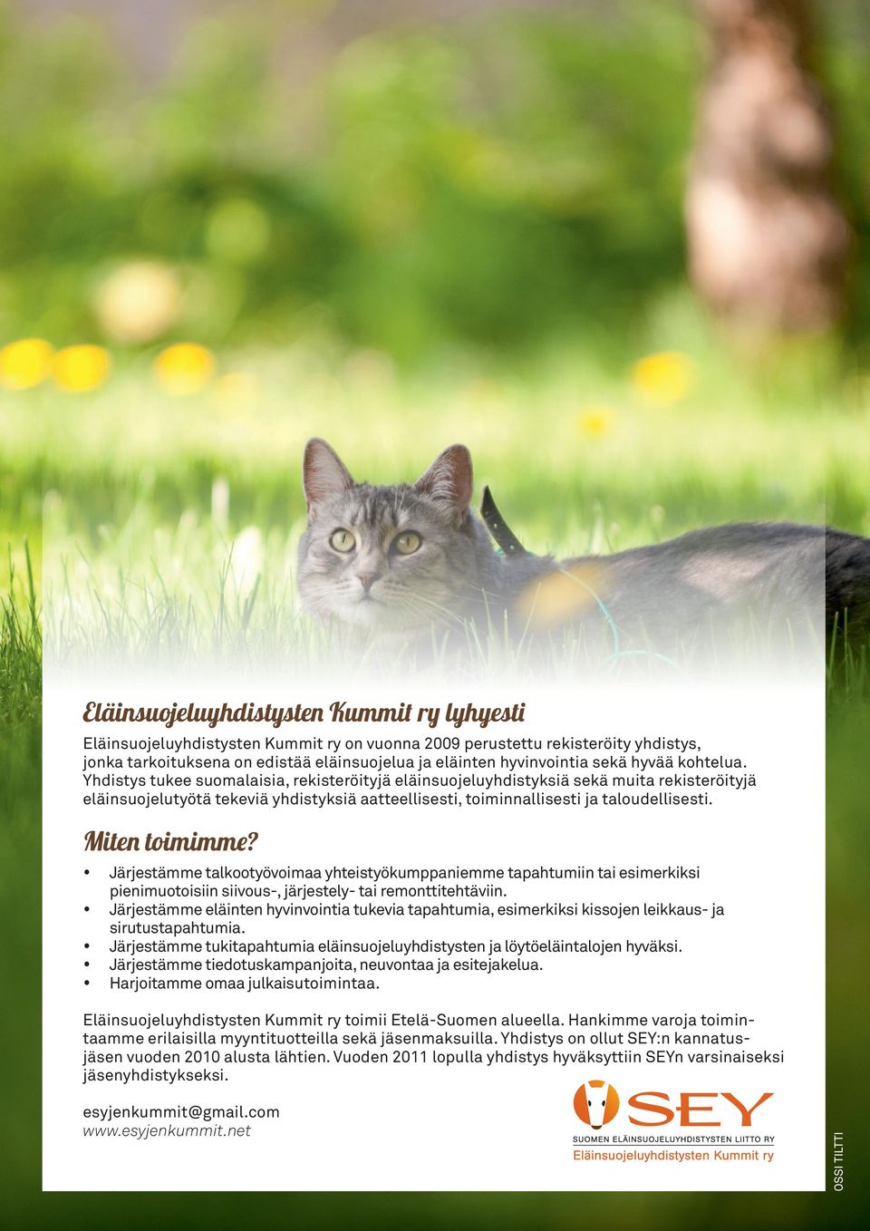 Yhdistys tukee suomalaisia, rekisteröityjä eläinsuojeluyhdistyksiä sekä muita rekisteröityjä eläinsuojelutyötä tekeviä yhdistyksiä aatteellisesti, toiminnallisesti ja taloudellisesti. Miten toimimme?