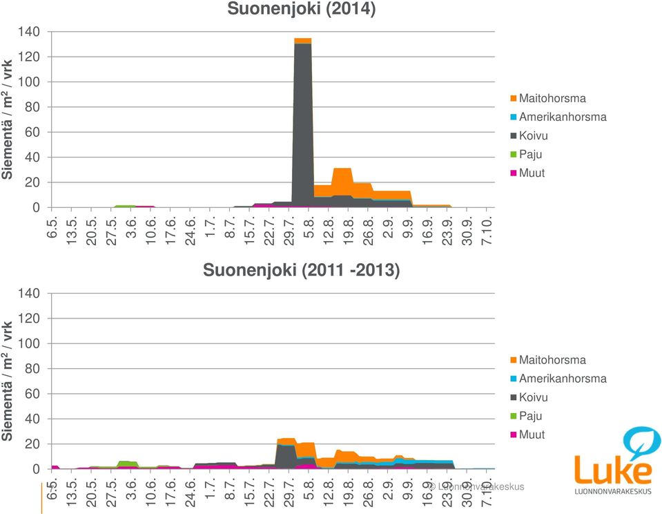 140 120 100 80 60 40 20 0 Suonenjoki (2014) Maitohorsma Amerikanhorsma Koivu Paju Muut Siementä / m 2 / vrk 6.5. 13.5. 20.5. 27.